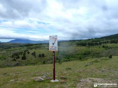 Peña Quemada-Ladera de Santuil; sierra del cadi parque natural de montseny a mariña fuentona soria p